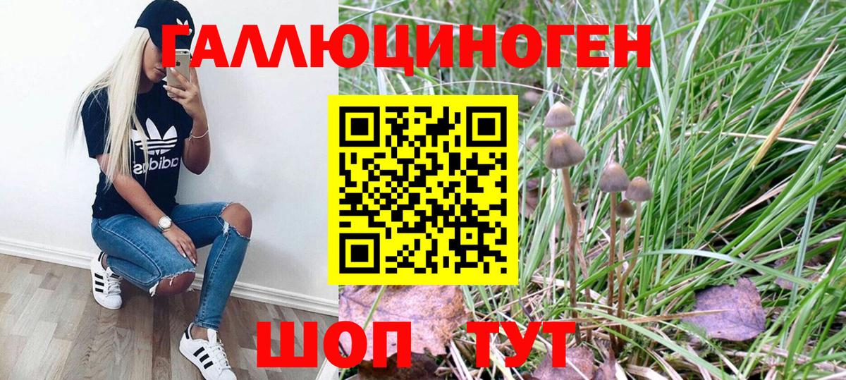 Грязи  Псилоцибиновые грибы Psilocybe  Вход с VPN 